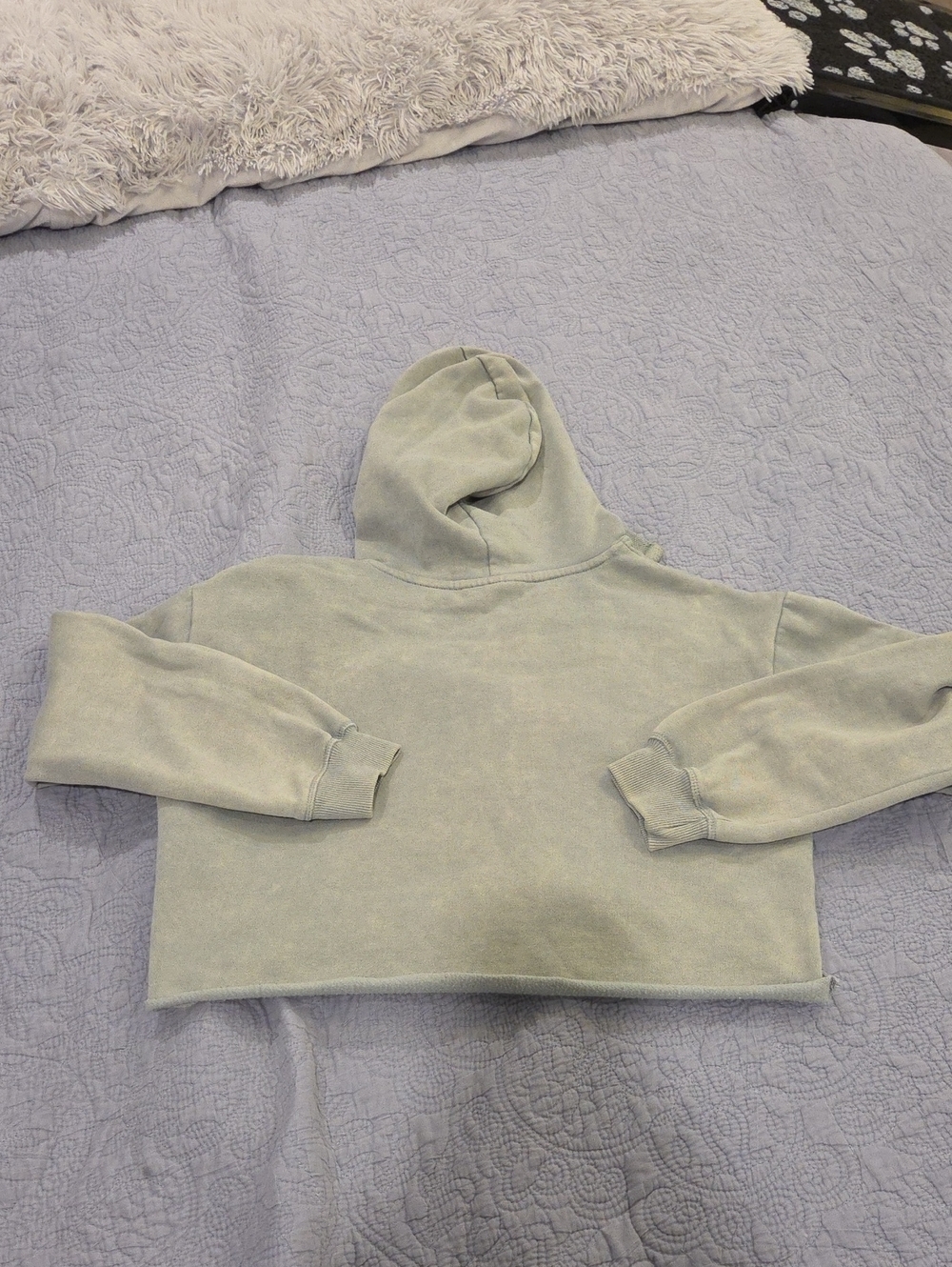 And Now This Cropped Light Sage Green Pullover Hoodie - Women Size XS! - Picture 5 of 7